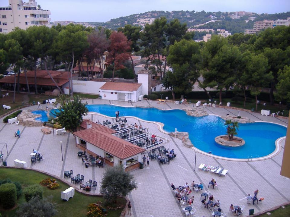 Der Pool BQ Belvedere Hotel
