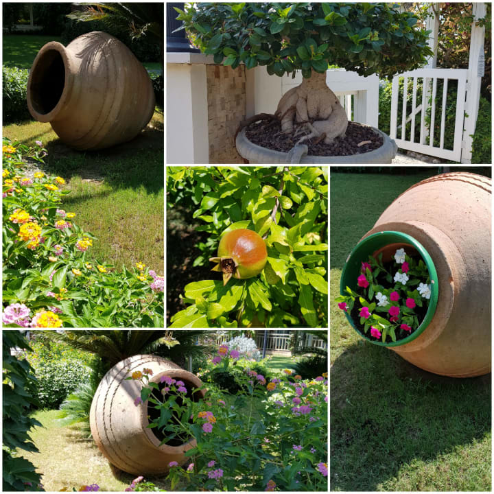 Gartenanlage Paloma Oceana