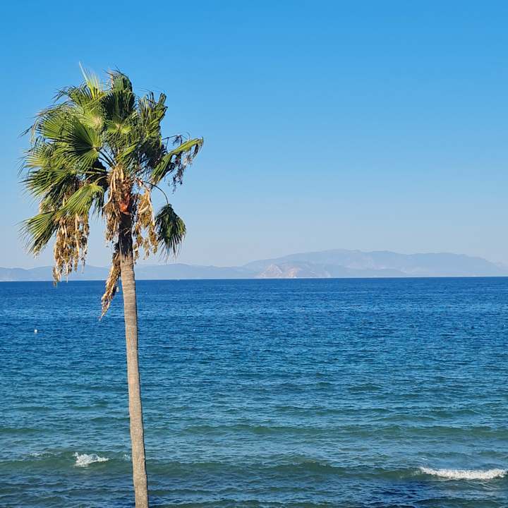 Ausblick Ephesia Holiday Beach Club