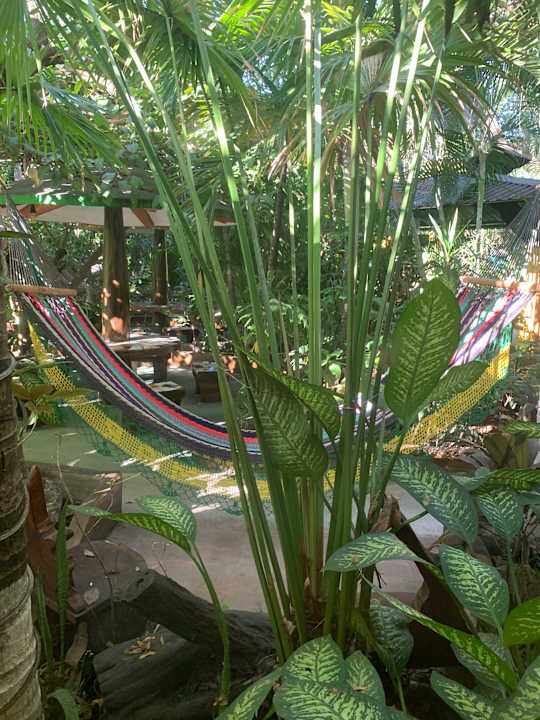 Gartenanlage Hotel Rancho Estero y Mar