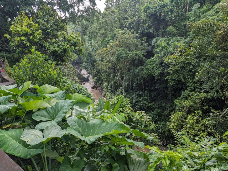 Außenansicht Hotel Tjampuhan