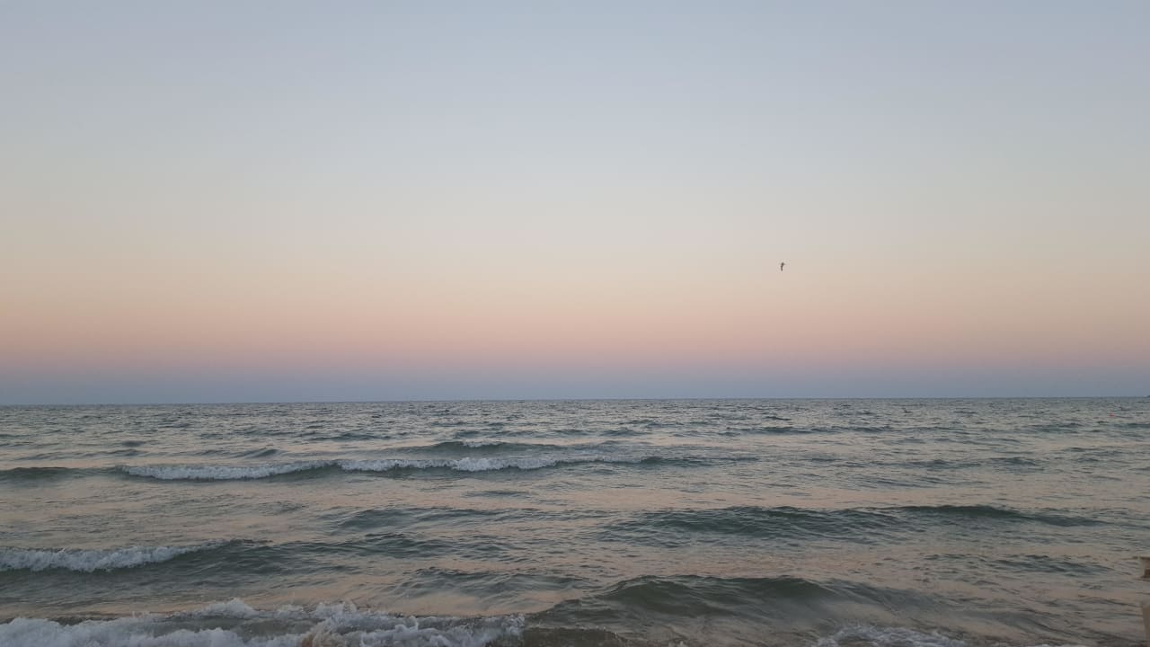 Strand  Hotel Lion Sunny Beach