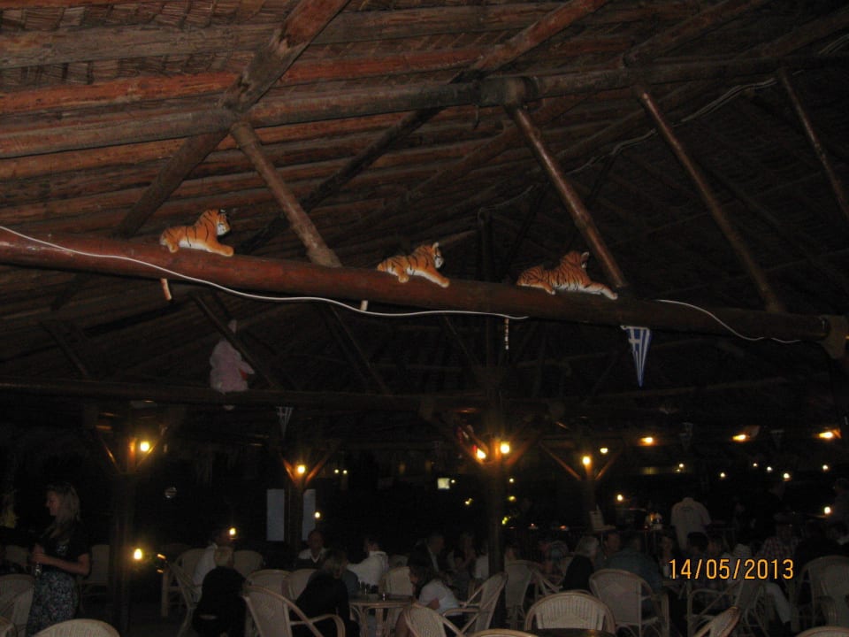 Safari Café Hotel Kalithea Mare Palace