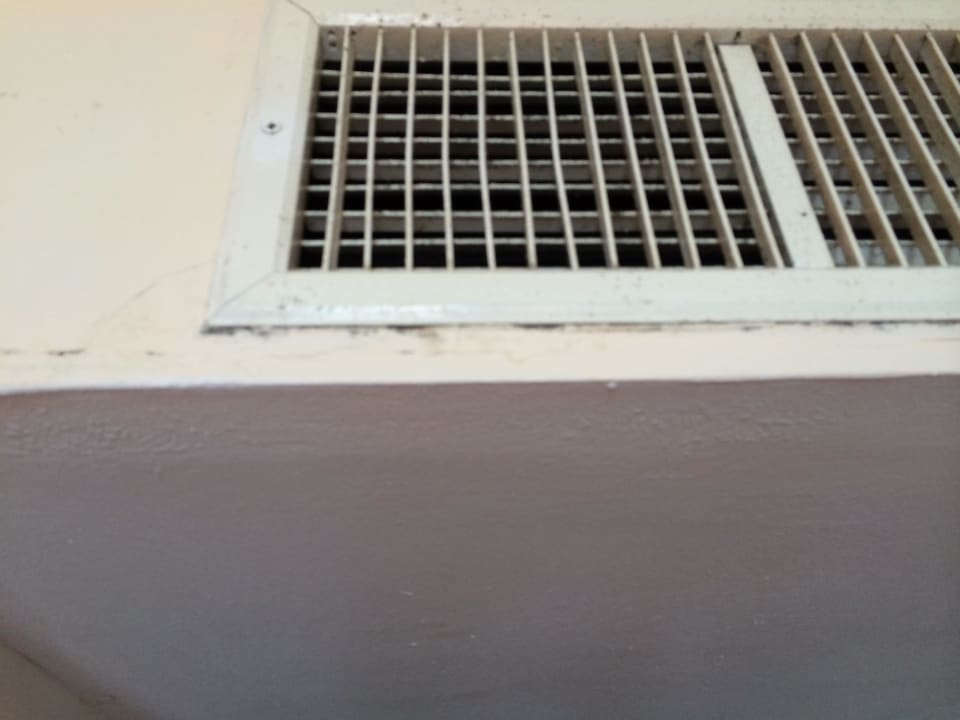 Noch mehr Schimmel Blau varadero - Adults only