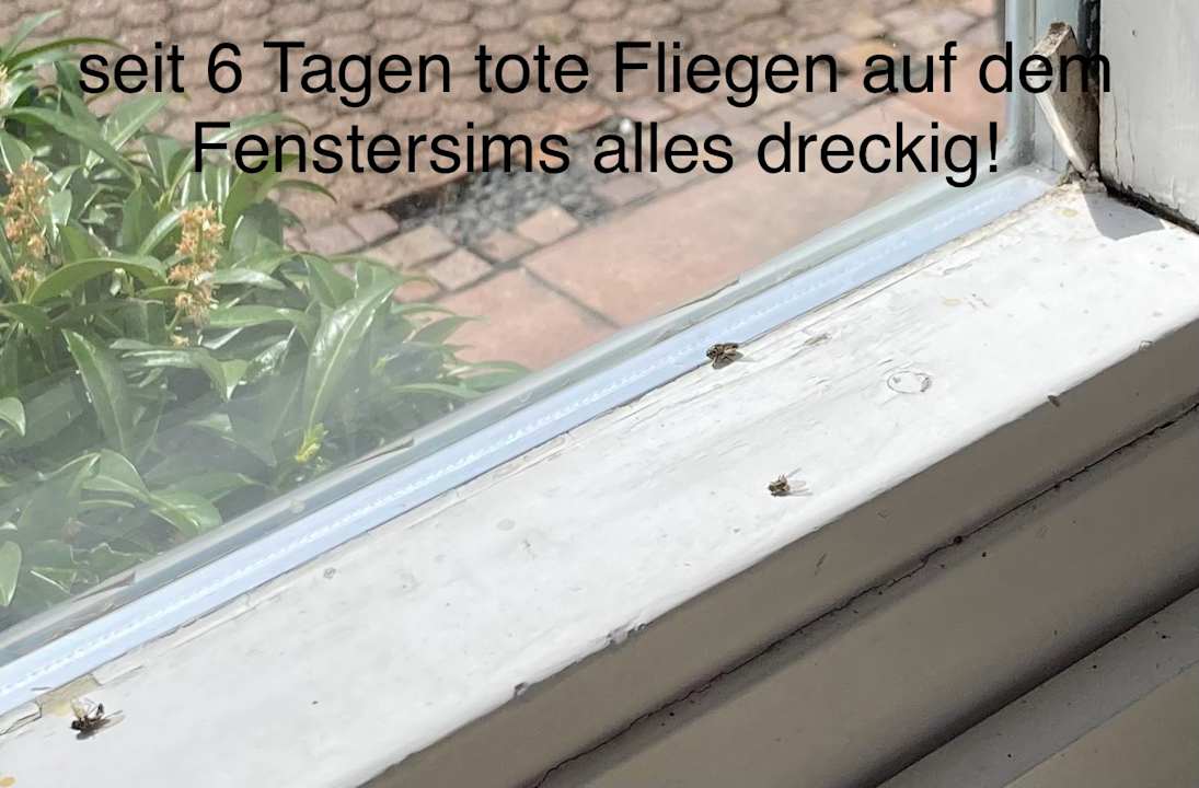 Gastro Hotel Schwarzwald Freudenstadt