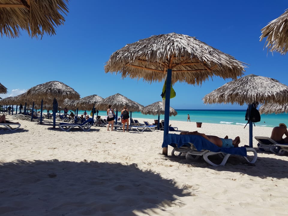 Strand Starfish Cuatro Palmas