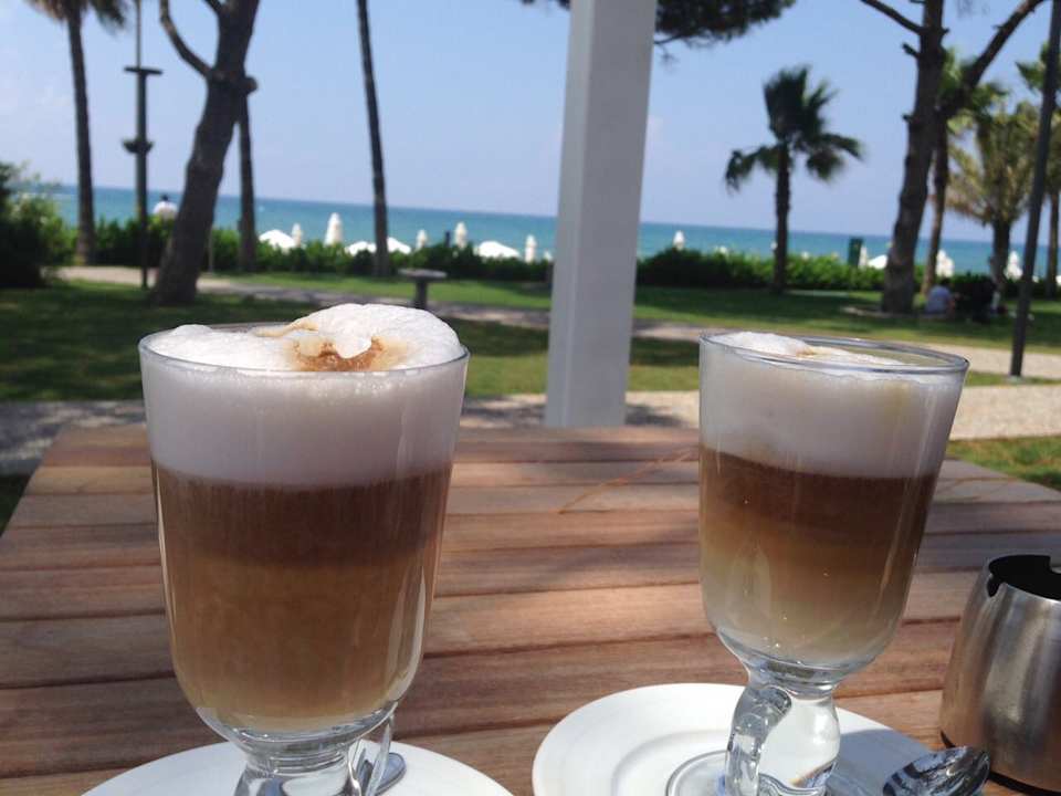 Gastro Acanthus Cennet Barut Collection