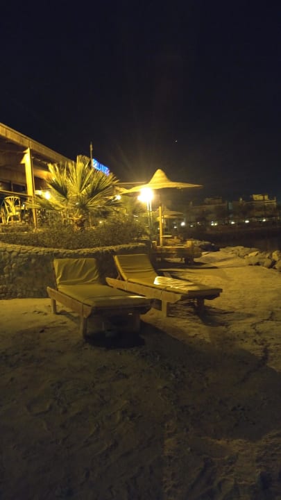 Wunderschön Desert Rose