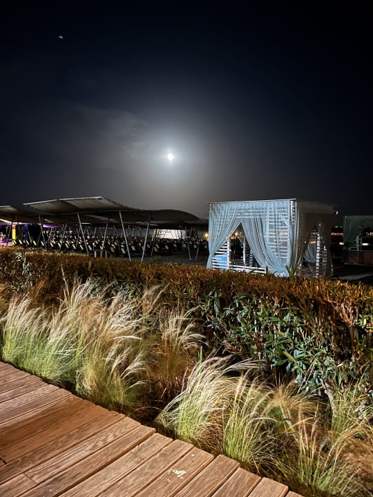 Strand Sherwood Exclusive Lara