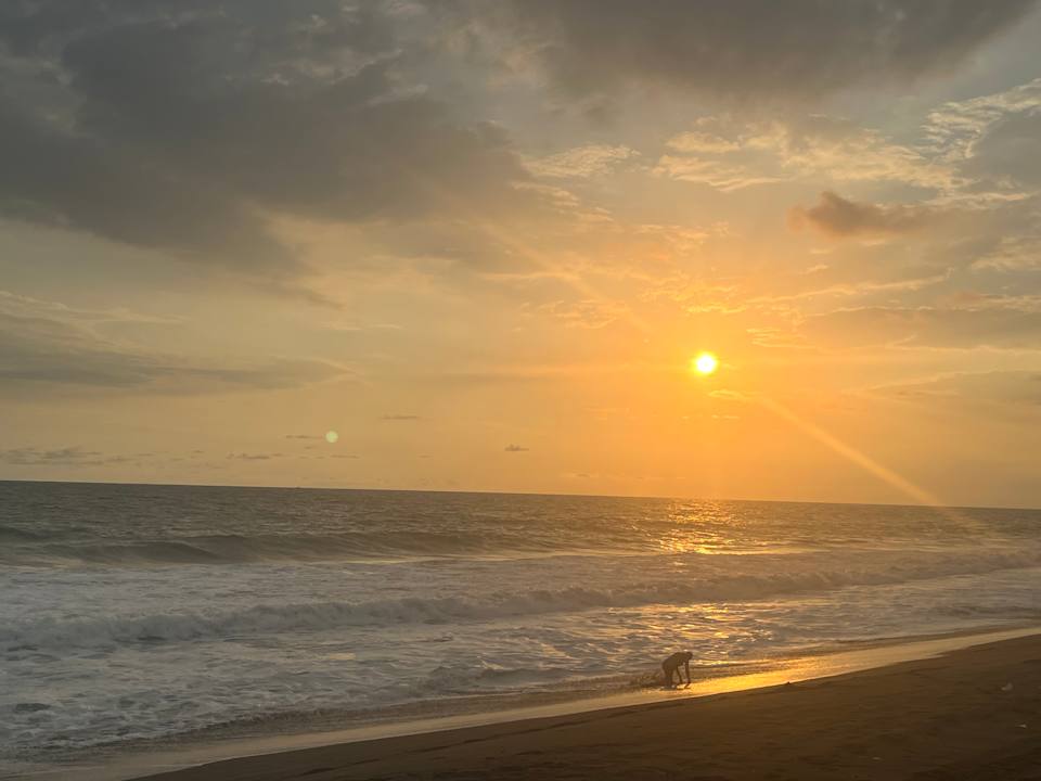 Strand Hotel Pez de Oro