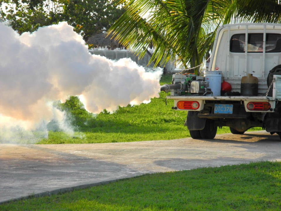 Mückenbekämpfung Hotel Playa Pesquero