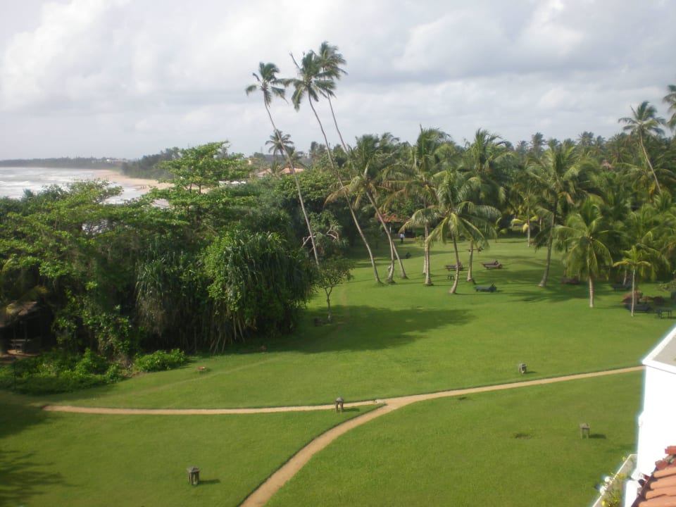 Blick vom Pool Taj Bentota Resort & Spa