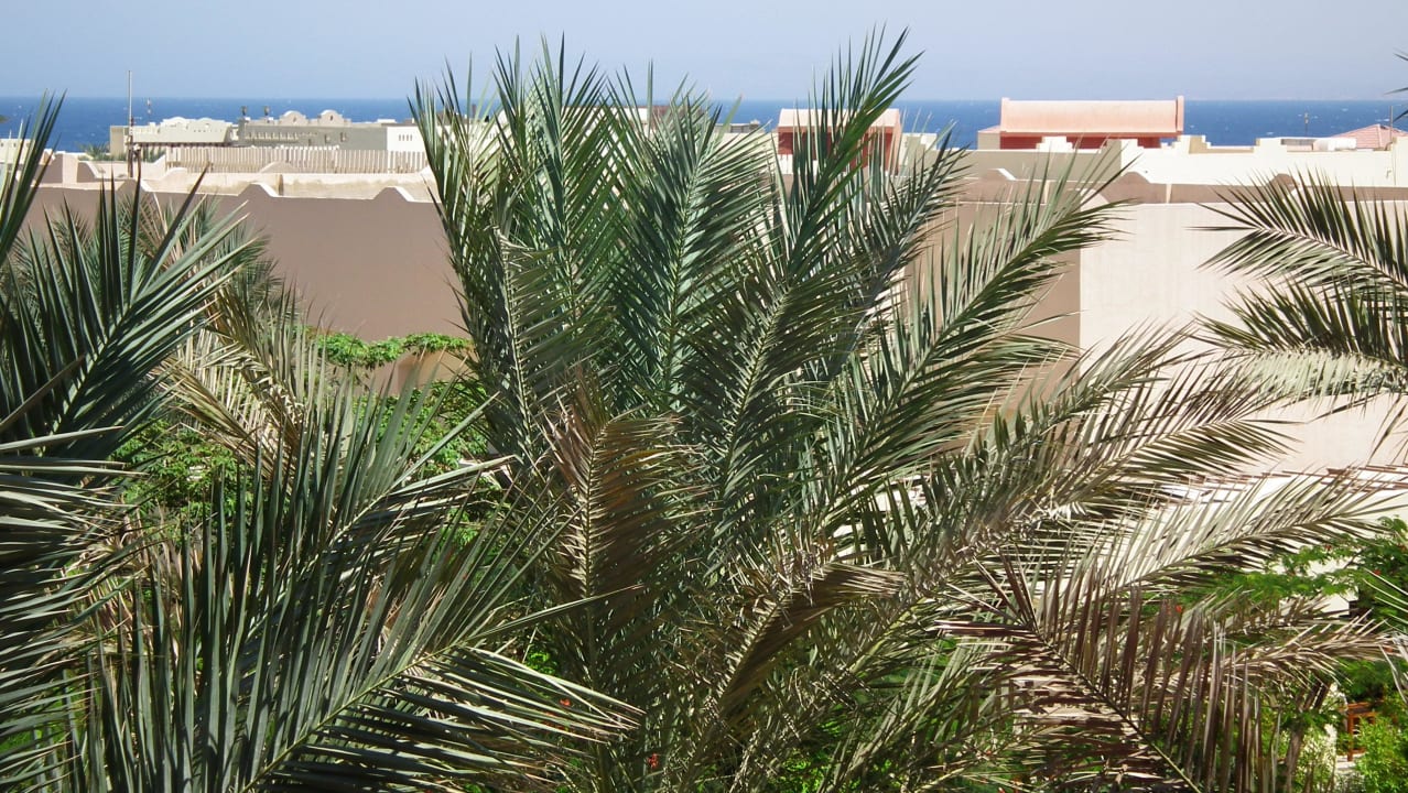 Widok z pokoju na morze Sharm Grand Plaza Resort