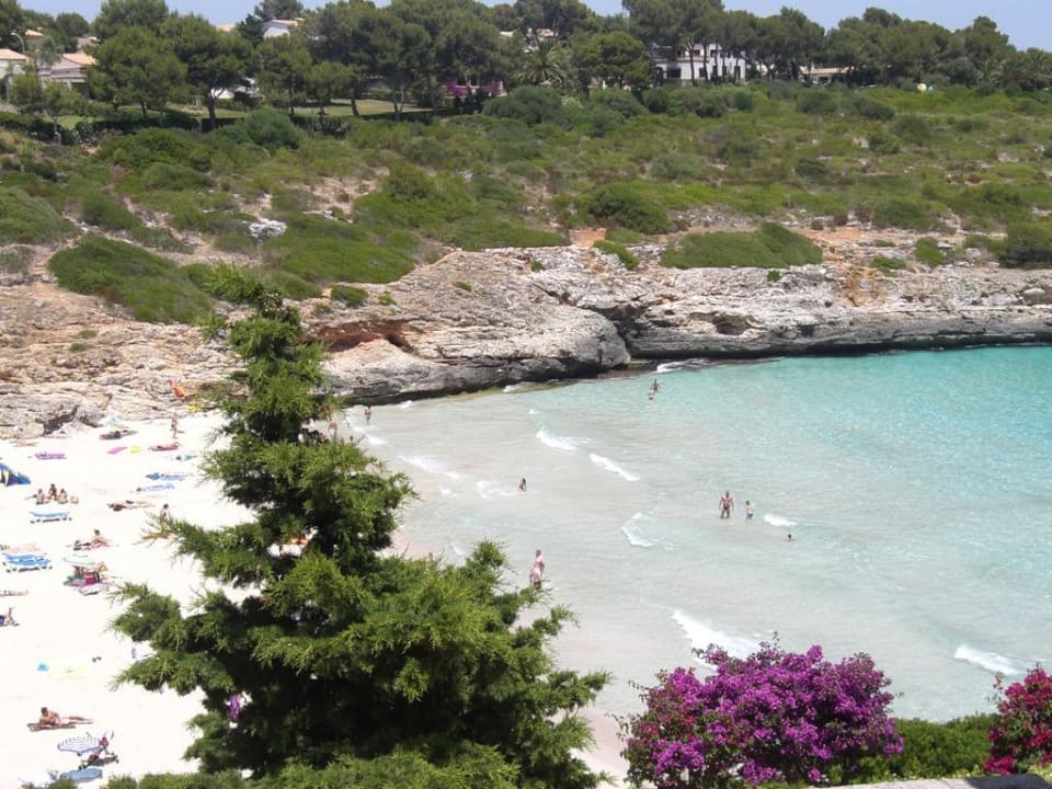 Strand links blau punta reina