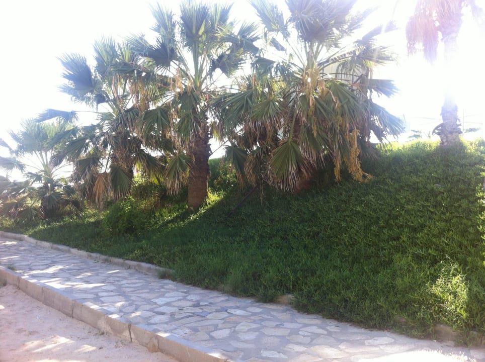 Garten Hotel Marhaba Club