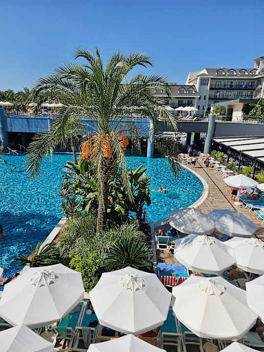 Pool Dream World Palace Hotel