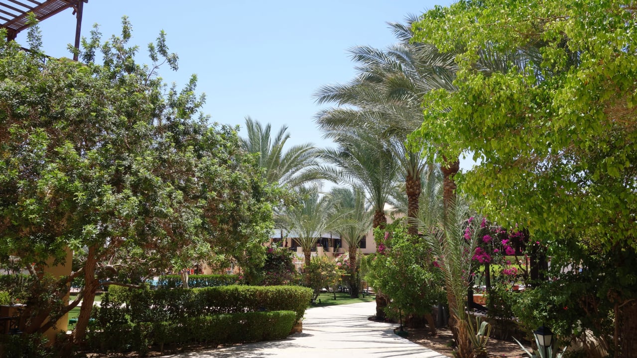 Weg zum Strand Steigenberger Coraya Beach - Adults only