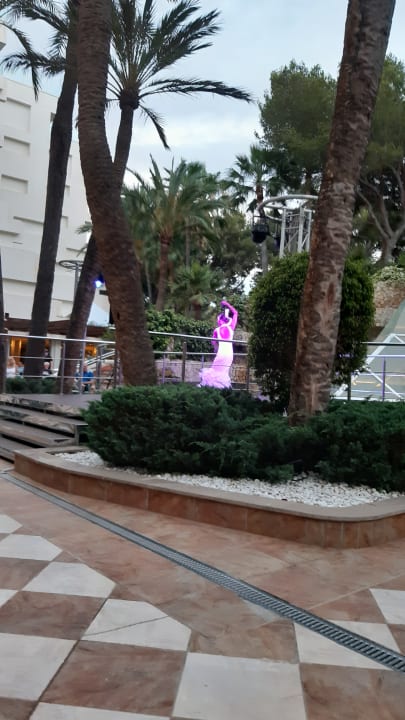 Sport & Freizeit allsun Hotel Bella Paguera