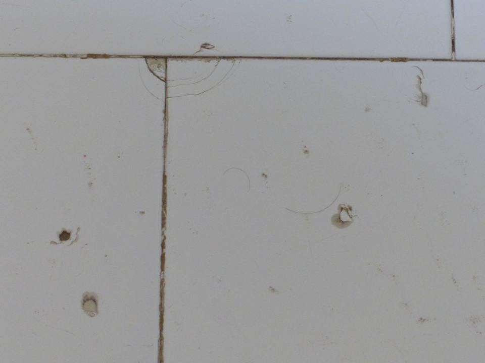 Wlosy wszedzie Houda Golf & Beach Club