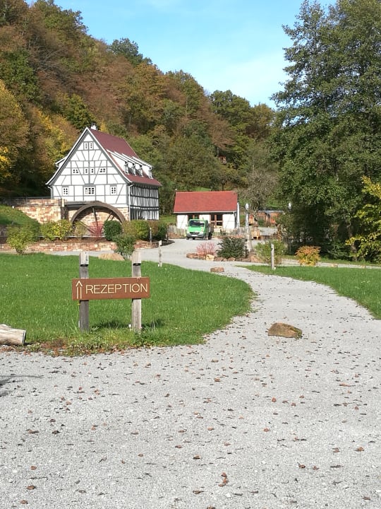 Außenansicht Baumhaushotel Seemühle