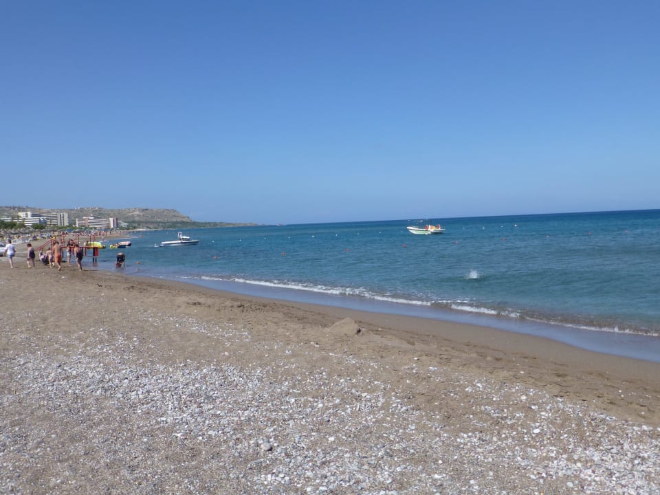 Der Strand vor dem Hotel Hotel Calypso Beach