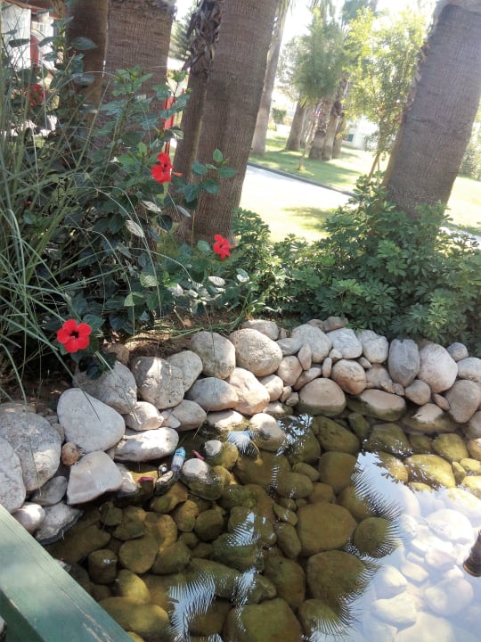 Gartenanlage Labranda Alantur Resort