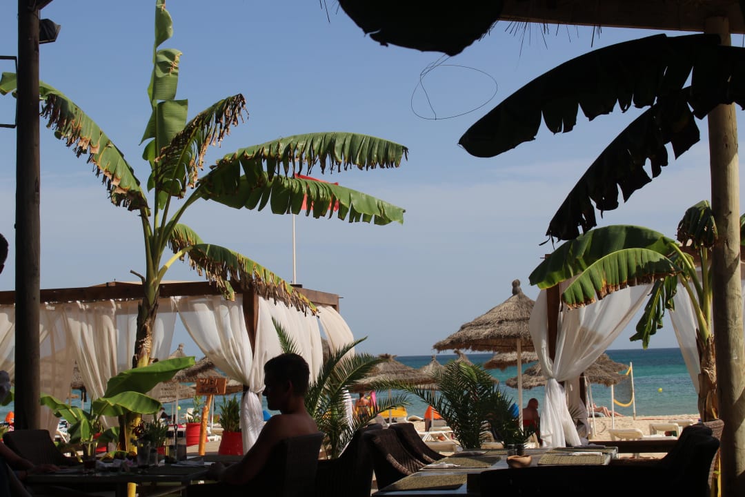 Strandbar Hotel Royal Nozha