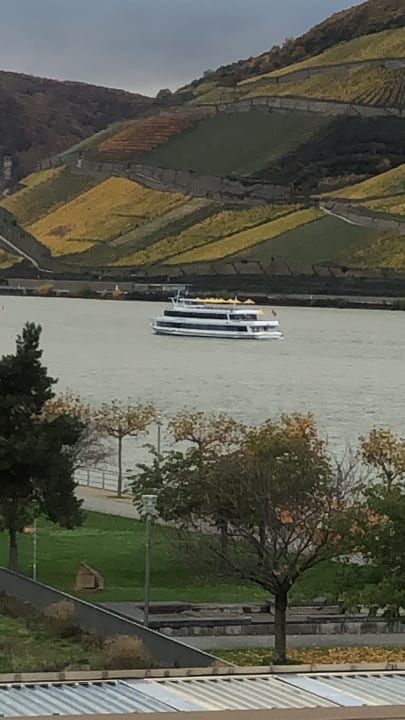 Ausblick PAPA RHEIN - Hotel & Spa