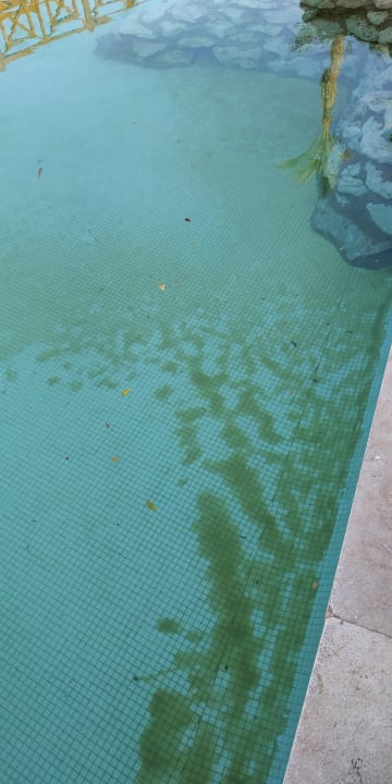 Pool Ghazala Gardens