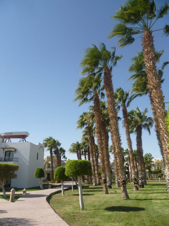 Schön gepflegt Lotus Bay Beach Resort