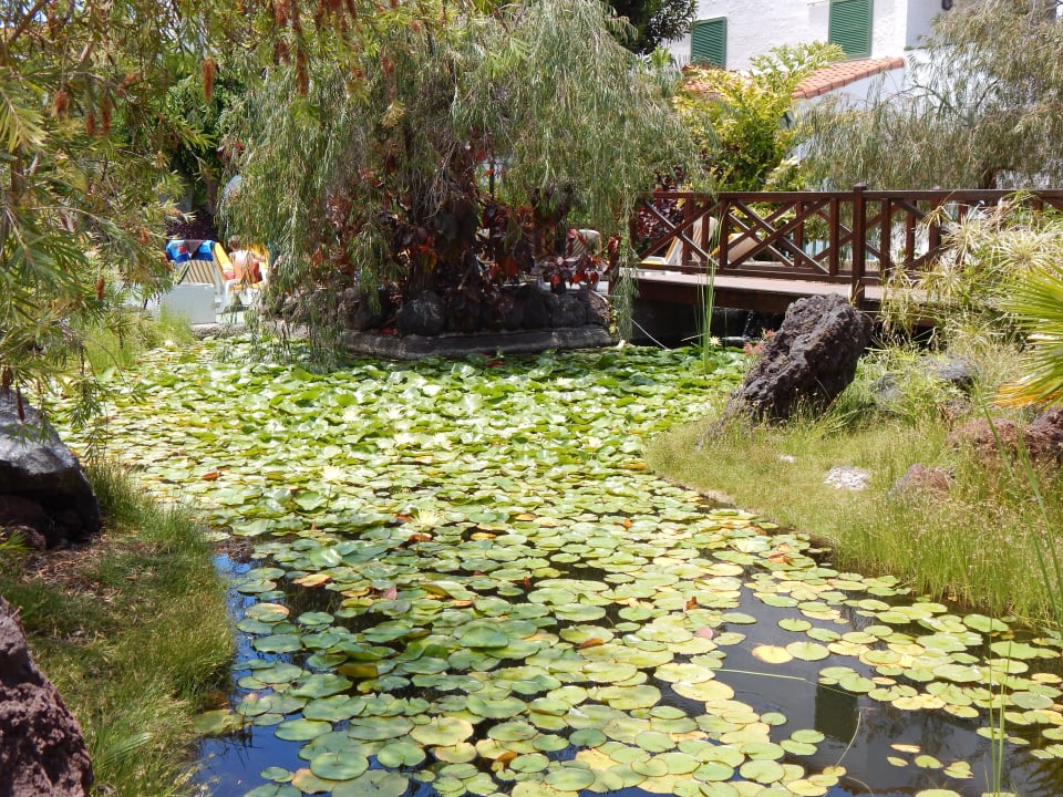 Teich Park Club Europe