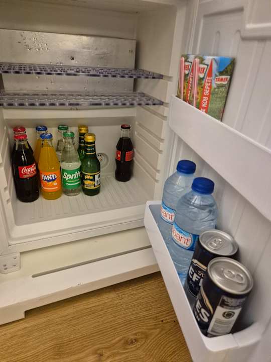 Zimmer Seashell Vega