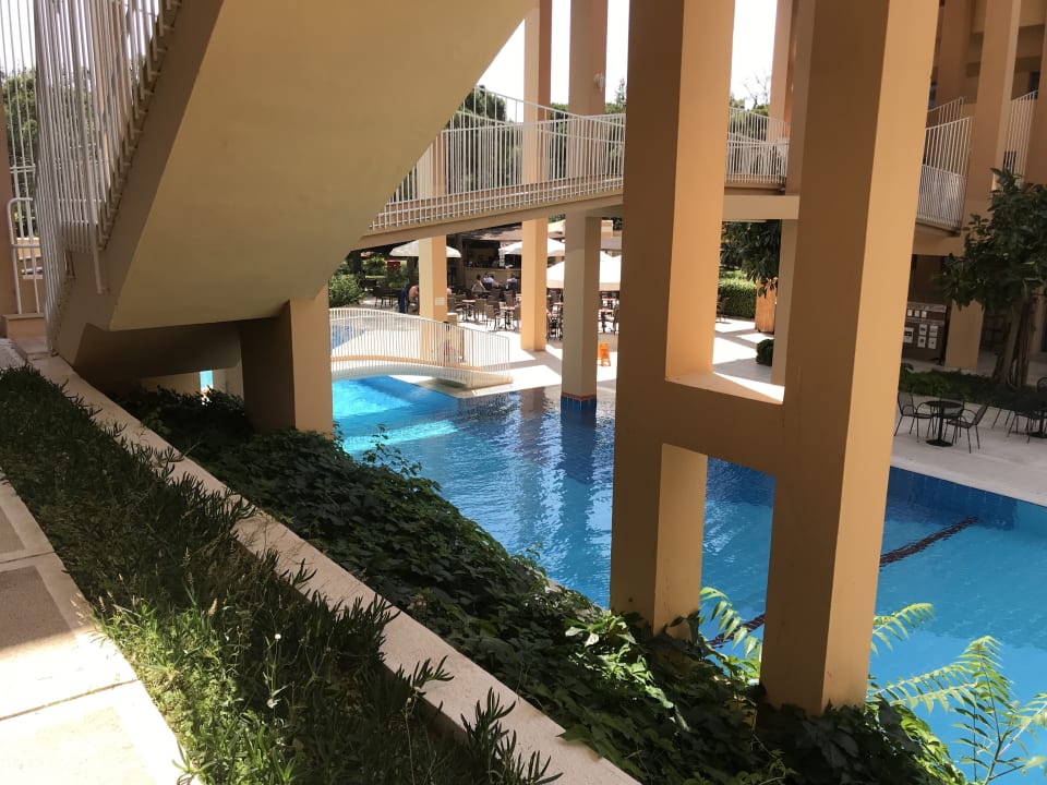 Pool Asteria Collection Side