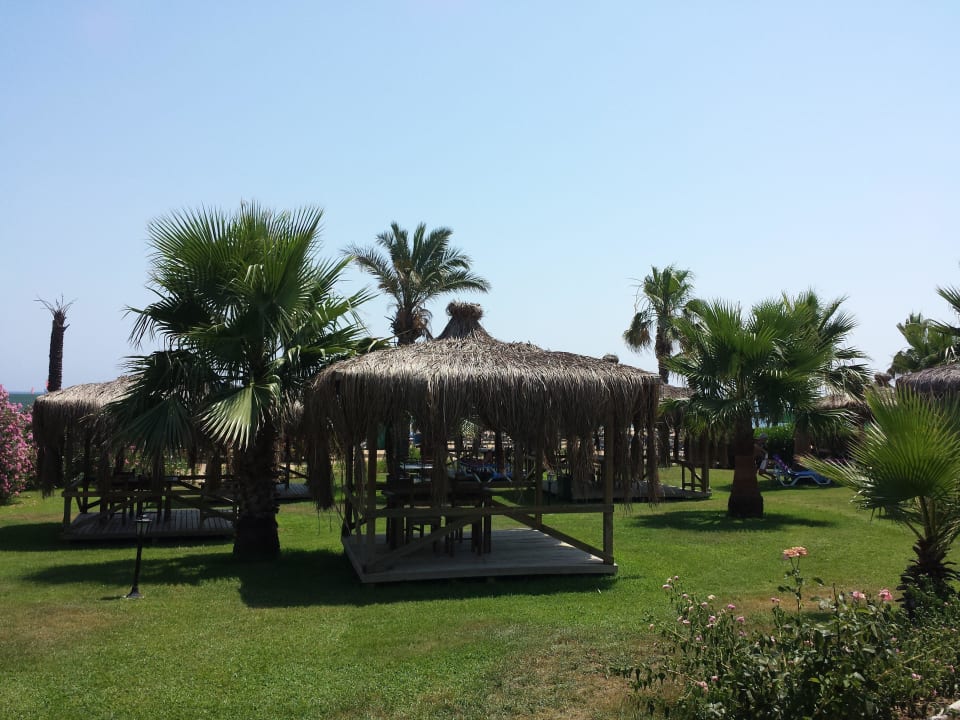 Fischessen Royal Atlantis Beach Hotel