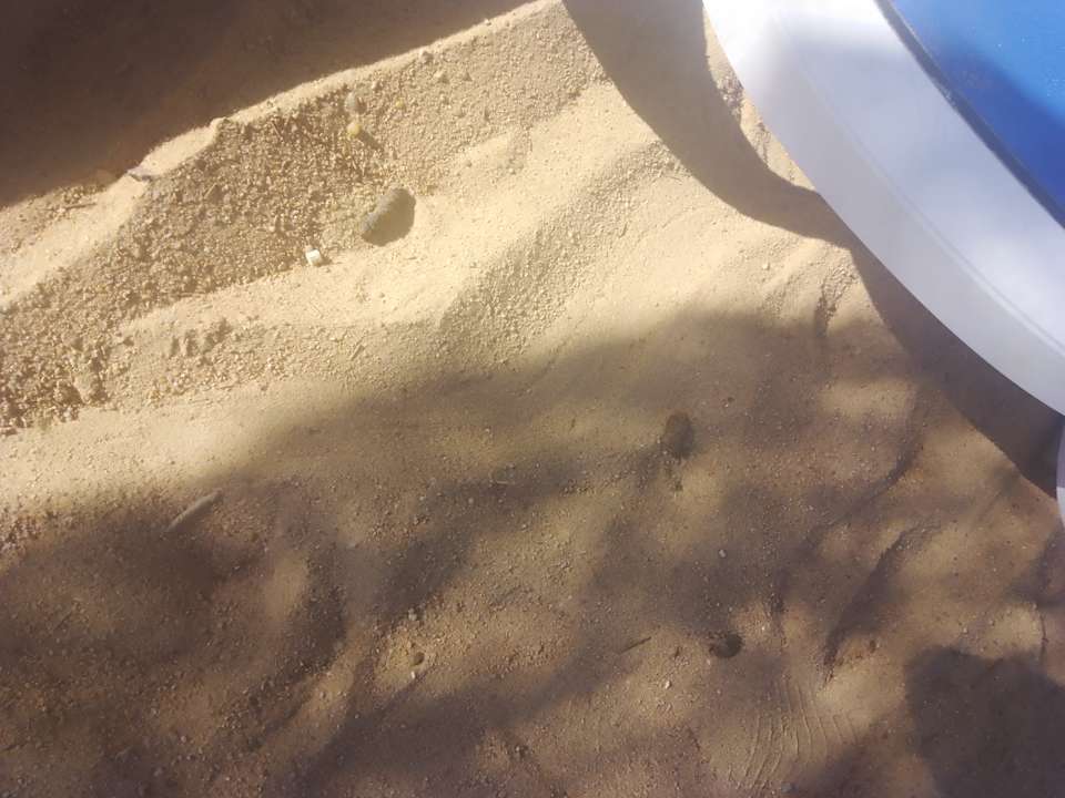 Strand Bella Vista Resort Hurghada