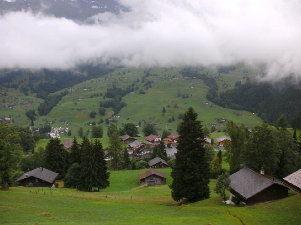 Blick vom Balkon FeWo Chalet Heimat