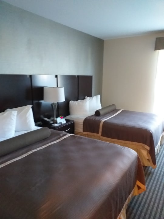 Zimmer The Prussia Hotel (Marriott Bonvoy)
