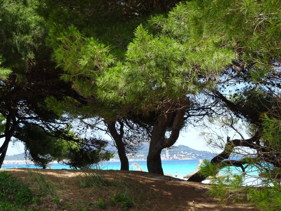 Strand JS Alcudi Mar