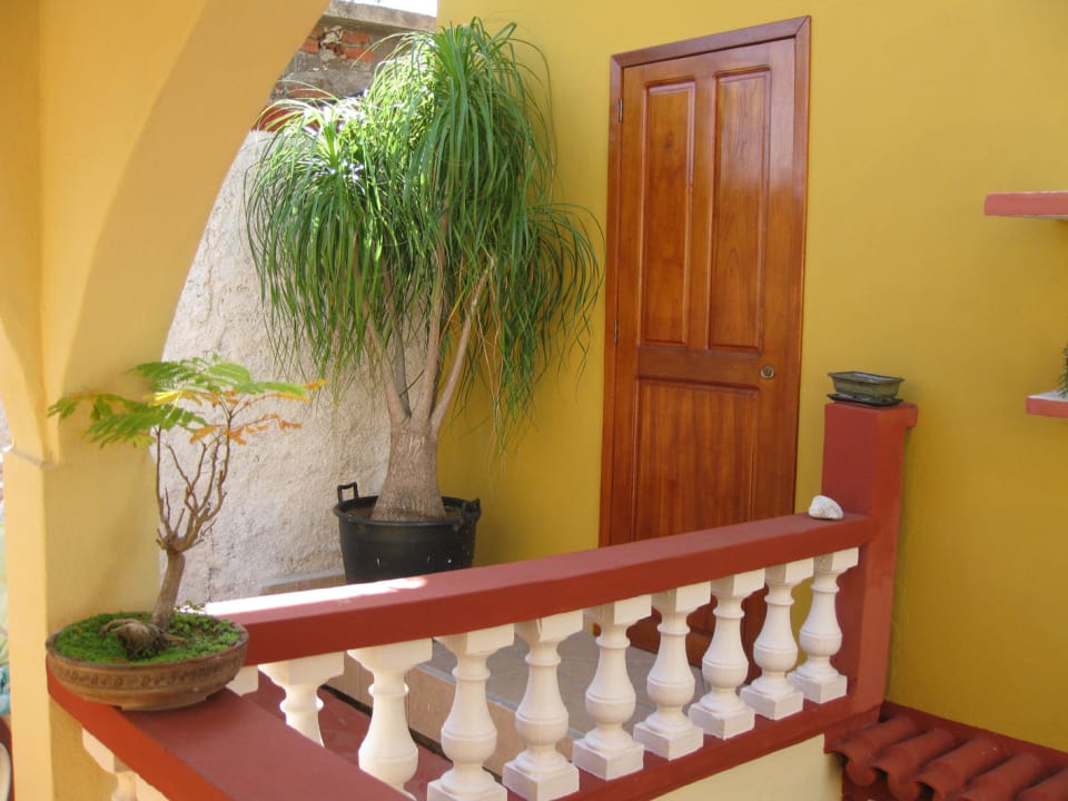 Überall schöne Pflanzen Hostal Puerto De Casilda