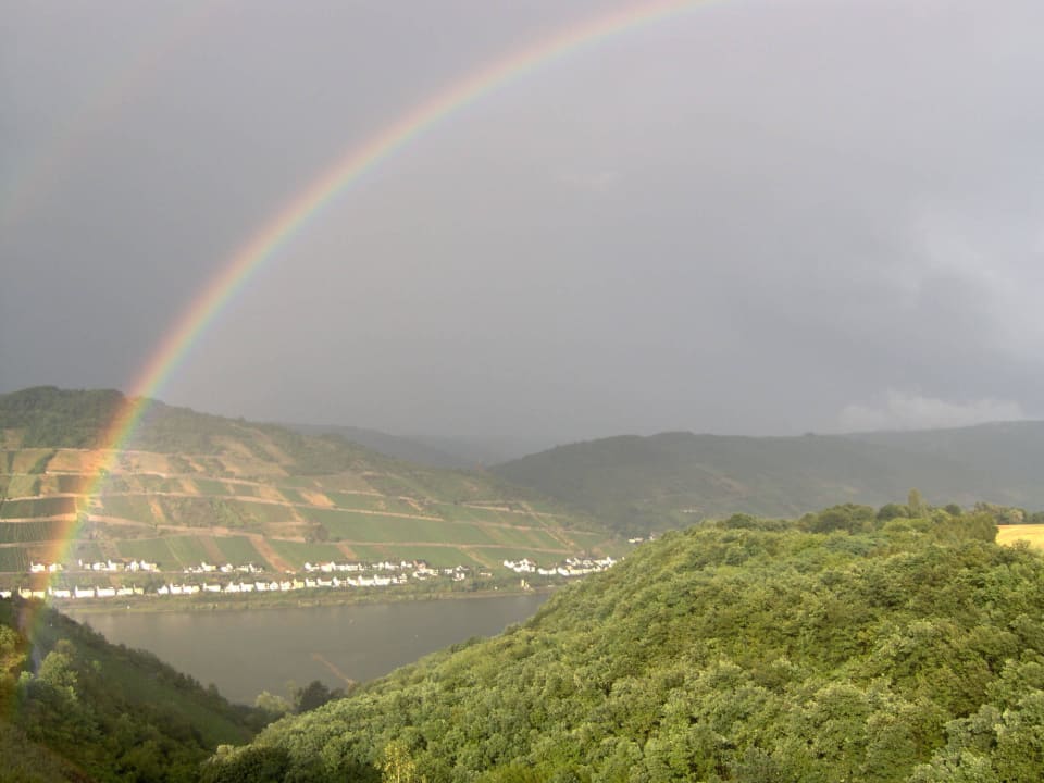 Blick auf den Rhein Ferienwohnung Rheinblick