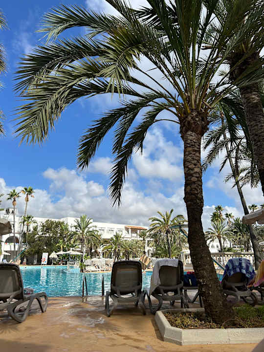 Pool Calimera Fido Gardens