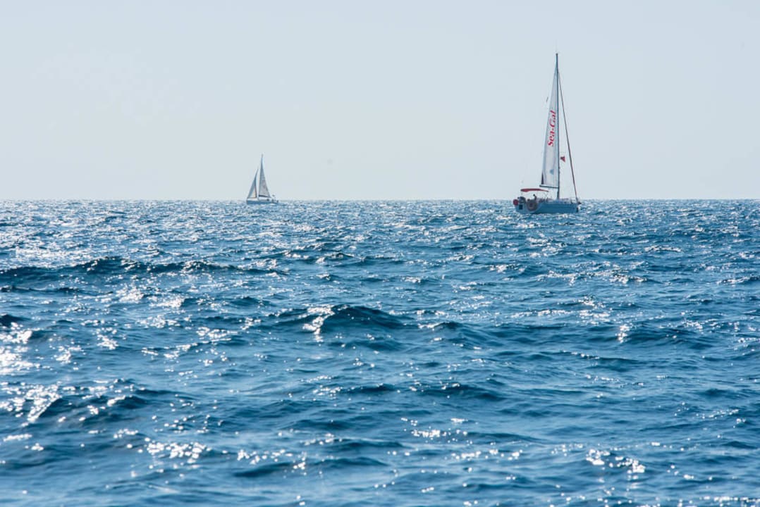 Yacht Herods Herzliya