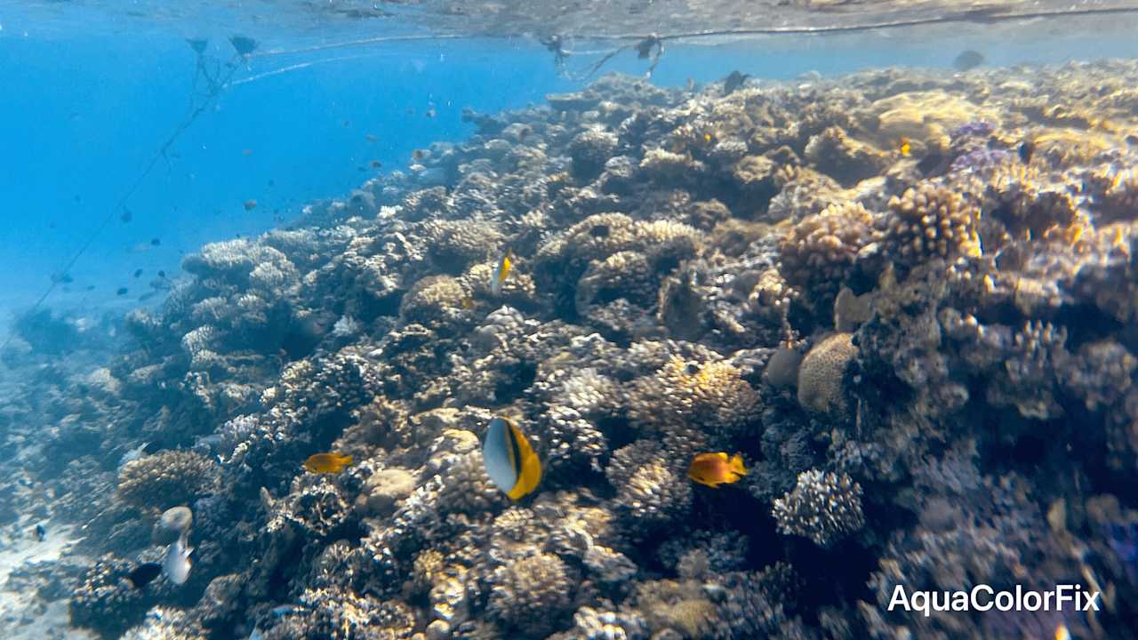 Strand Jaz Makadi Oasis Resort