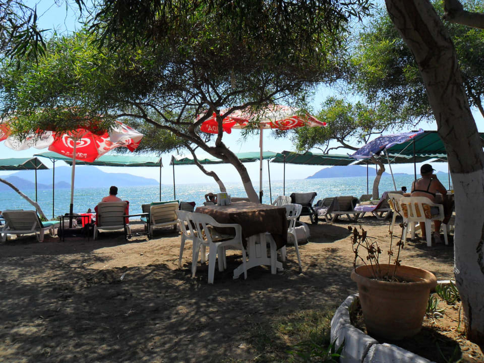 Bar am Strand Hotel Nazar Garden