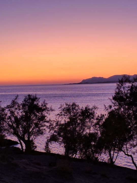 Ausblick Hotel Pal Beach