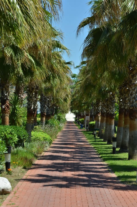 Schöne gepflegte Wege Sunis Elita Beach Resort & Spa