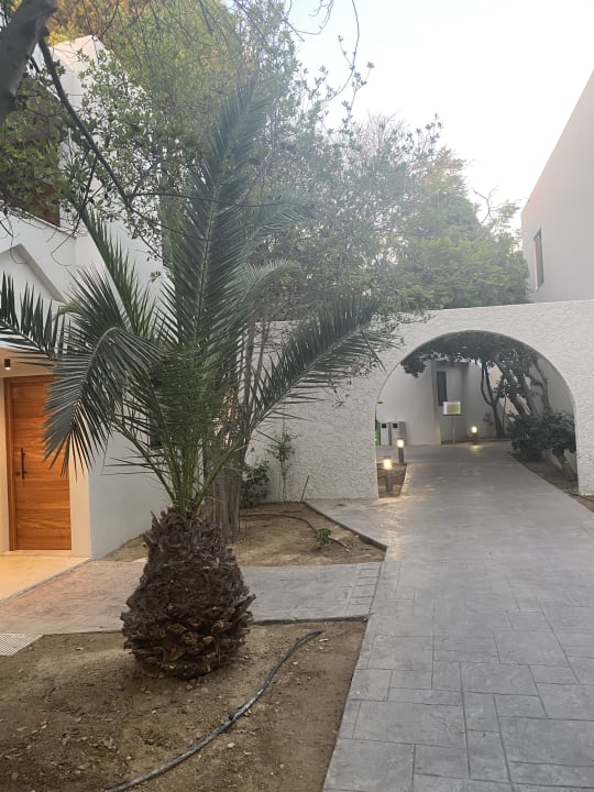 Außenansicht Caravia Beach Hotel