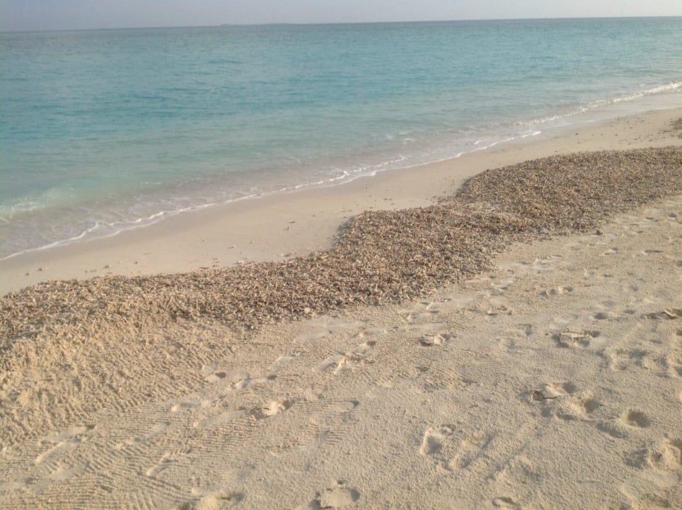 Strand  Atmosphere Kanifushi Maldives