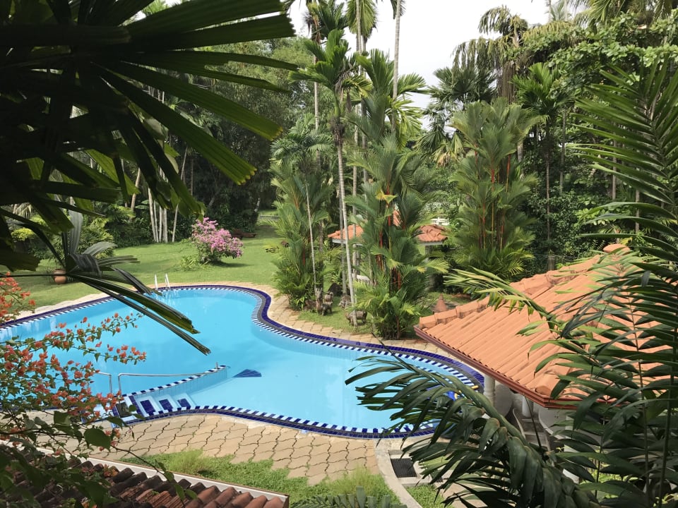 Pool Ayubowan Swiss Lanka Bungalow Resort