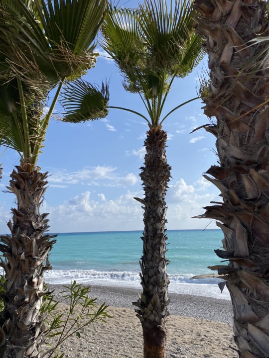 Strand Botanik Hotel & Resort